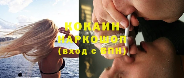 jwh Гусь-Хрустальный