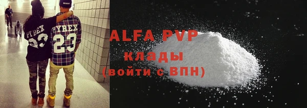 индика Горнозаводск