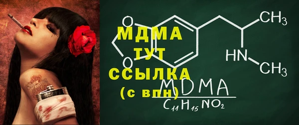 индика Горнозаводск