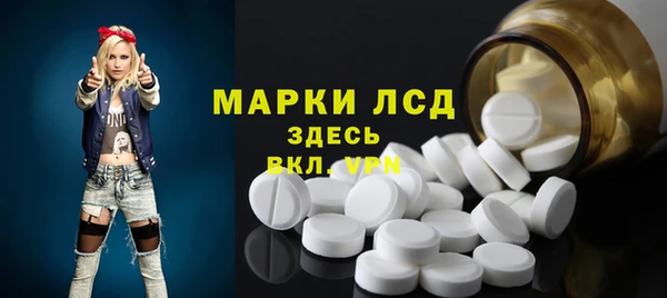 индика Горнозаводск