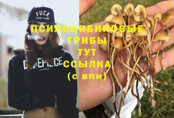 индика Горнозаводск