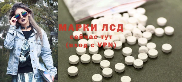 индика Горнозаводск