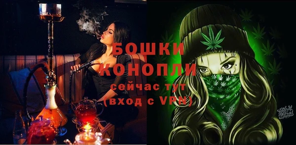 индика Горнозаводск