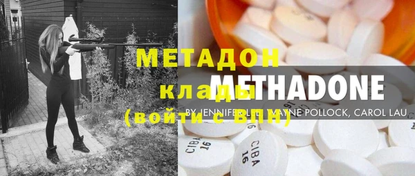 индика Горнозаводск