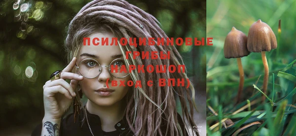 mdma Гусиноозёрск