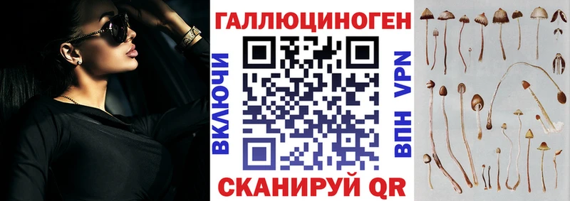 Псилоцибиновые грибы GOLDEN TEACHER  OMG маркетплейс  Невьянск  купить наркотики сайты 